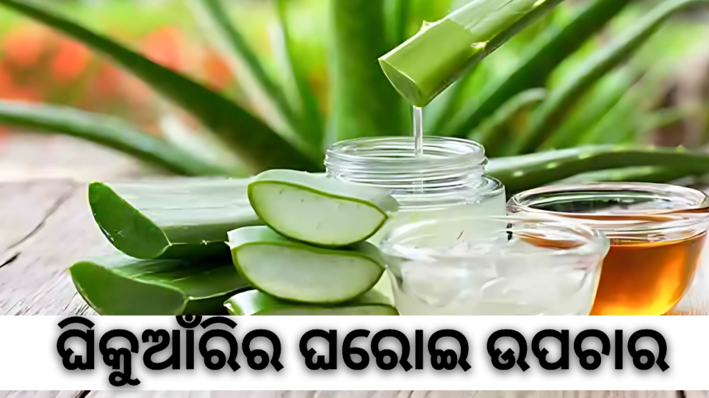 Benefits of Aloevera: ଆପଣଙ୍କ କେଶ ପାଇଁ ଆଲୋଭେରା ଏବଂ ଏହାର ଲାଭ